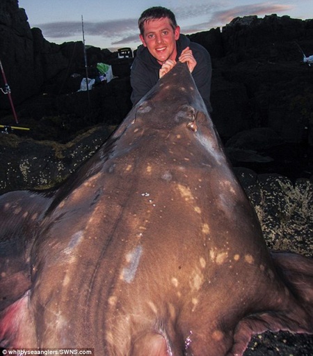 Tóm gọn quái ngư khổng lồ trên bờ biển