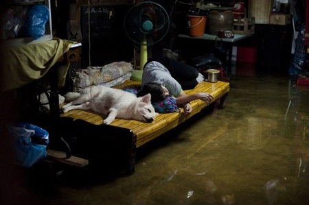 Những hình ảnh ấn tượng về lụt lội Bangkok - 12