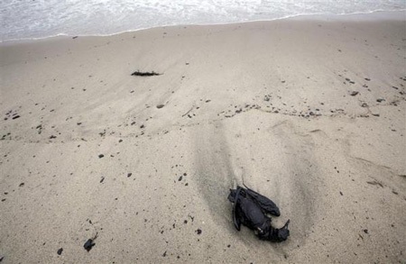 Những hình ảnh nổi bật tuần qua - 5 Những hình ảnh nổi bật tuần qua - 5