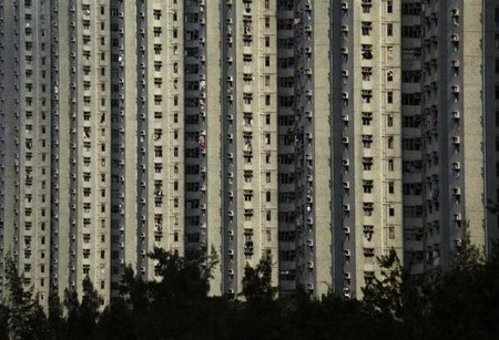 Vẻ đẹp của “những khu rừng bê tông” - 4 Vẻ đẹp của “những khu rừng bê tông” - 4