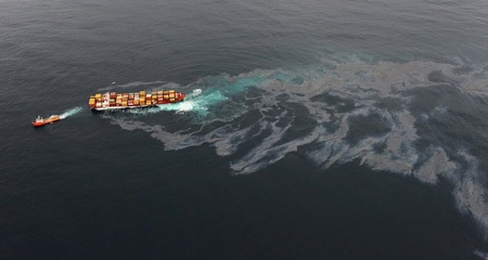 Những hình ảnh nổi bật tuần qua - 4 Những hình ảnh nổi bật tuần qua - 4