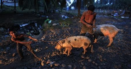 Bão gây lũ quét ở Philippines: 400 người chết khi đang ngủ - 3