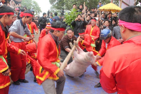 Lễ hội Chạy Lợn: 3 phút "thần tốc" mổ lợn khao quân - 7 Lễ hội Chạy Lợn: 3 phút "thần tốc" mổ lợn khao quân - 7