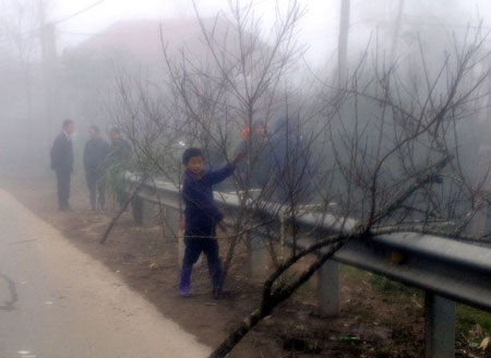 Chợ hoa đào Sa Pa trong sương mù - 10 Chợ hoa đào Sa Pa trong sương mù - 10