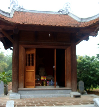 Những bí ẩn về “ông rồng” tự cắn xé thân mình  - 3