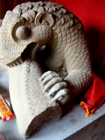 Những bí ẩn về “ông rồng” tự cắn xé thân mình  - 6