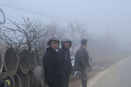 Chợ hoa đào Sa Pa trong sương mù - 7 Chợ hoa đào Sa Pa trong sương mù - 7