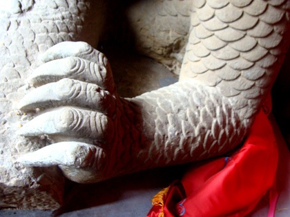 Những bí ẩn về “ông rồng” tự cắn xé thân mình  - 8