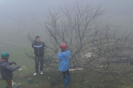Chợ hoa đào Sa Pa trong sương mù - 8 Chợ hoa đào Sa Pa trong sương mù - 8