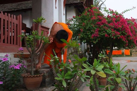 Luang Prabang - Nơi cuộc sống trôi chậm