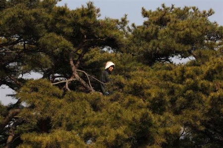 Một thoáng Triều Tiên