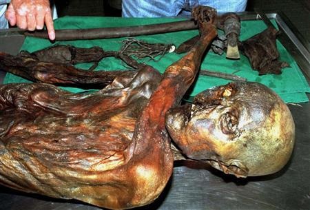 Phát hiện mẫu máu cổ nhất ở người tuyết tiền sử - 1 Phát hiện mẫu máu cổ nhất ở người tuyết tiền sử