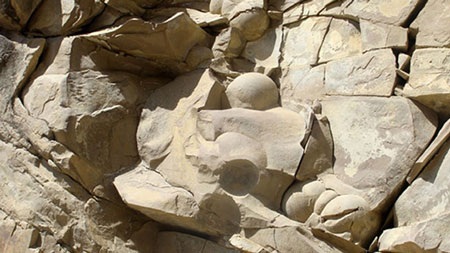 Nga: Xôn xao về "kho báu" trứng khủng long lớn nhất thế giới - 2 Nga: Xôn xao về kho báu trứng khủng long lớn nhất thế giới