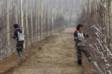 Một thoáng Triều Tiên