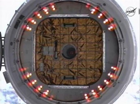 Du hành gia trên trạm vũ trụ trôi nổi trong tàu vũ trụ tư nhân - 9 Du hành gia trên trạm vũ trụ trôi nổi trong tàu vũ trụ tư nhân