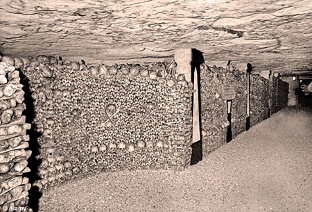 Đế chế người chết cũng góp phần vào Thế chiến II. Thành viên của Phản kháng Pháp ở