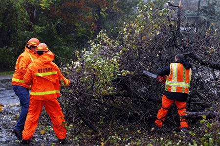 Miền đông nước Mỹ tê liệt vì bão Sandy - 9 Một cây lớn trên đường cao tốc tại New York bị bão quật đổ.
