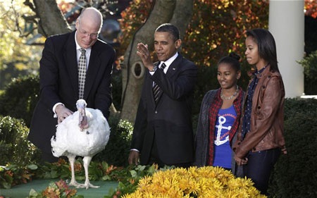 Obama xá tội cho gà tây tại Nhà Trắng - 1 Obama xá tội cho gà tây tại Nhà Trắng