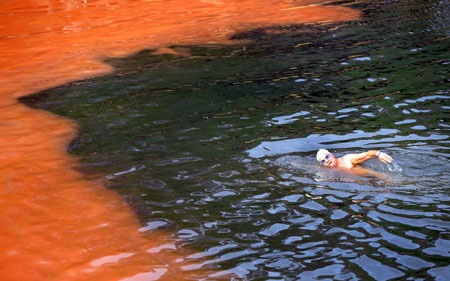 Biển máu ở Sydney