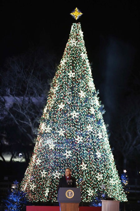 Chiêm ngưỡng những cây thông Giáng sinh nổi bật nhất thế giới - 2 Cây thông Noel được thắp sáng để mừng lễ Giáng sinh đang tới gần tại Tòa thị chính Seoul, Hàn Quốc.