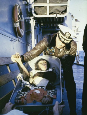 Những "du hành gia" khỉ nổi tiếng thế giới - 14 Những du hành gia khỉ