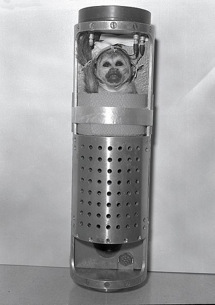 Những "du hành gia" khỉ nổi tiếng thế giới - 2 Những du hành gia khỉ