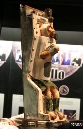 Những "du hành gia" khỉ nổi tiếng thế giới - 5 Những du hành gia khỉ