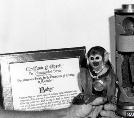 Những "du hành gia" khỉ nổi tiếng thế giới - 6 Những du hành gia khỉ