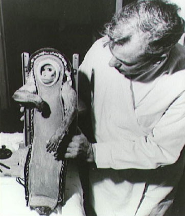 Những "du hành gia" khỉ nổi tiếng thế giới - 7 Những du hành gia khỉ