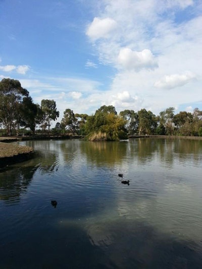 Lời tỏ tình mùa thu với xứ sở Kangaroo