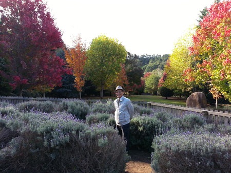 Lời tỏ tình mùa thu với xứ sở Kangaroo