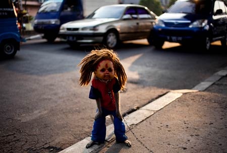 Ngành kinh doanh khỉ mặt nạ rợn người ở Indonesia