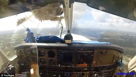 Mỹ: Chim đâm vỡ toác buồng lái máy bay trên không - 1 Toàn
bộ vụ việc đã được camera trên buồng lái chiếc máy bay Piper Saratoga ghi lại.