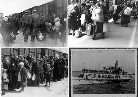 Hành trình tới cái chết