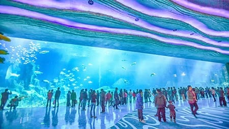 Thủy cung đã phá 5 kỷ lục thế giới.