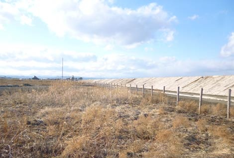  Những gì còn lại ở Minami-sanriku,
dọc con đê, bên kia là Thái Bình Dương