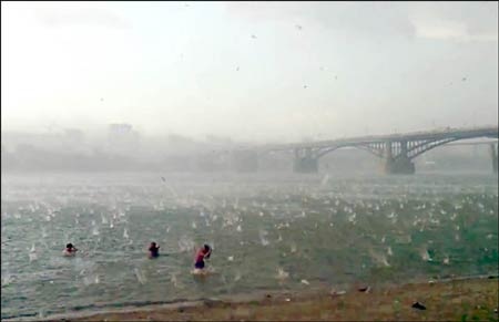 Mưa đá lớn bằng quả trứng gà ở Nga - 9 Trung Anh