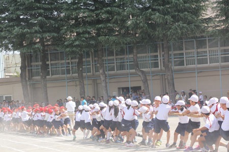 Vào ngày hội thao lớn nhất của học sinh tiểu học Nhật