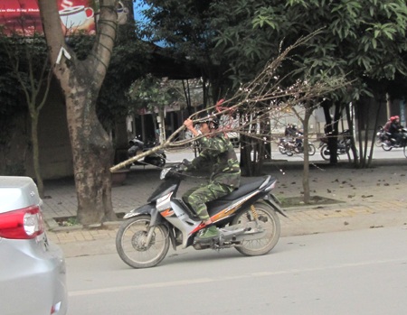 “Chật vật” đưa Tết về nhà - 6 “Chật vật” đưa Tết về nhà - 6