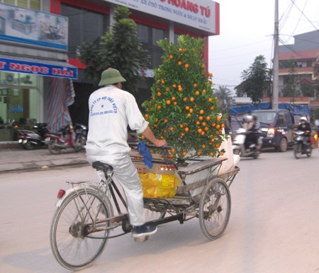 Tết theo hoa xuống phố - 9