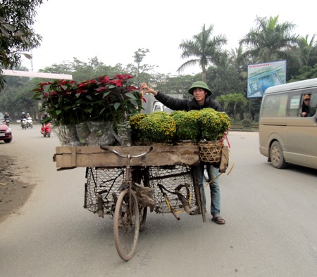 Tết theo hoa xuống phố - 1