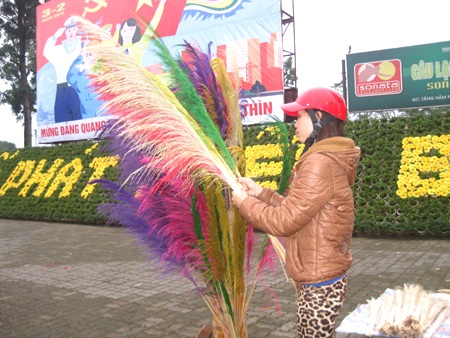 Tết theo hoa xuống phố - 7