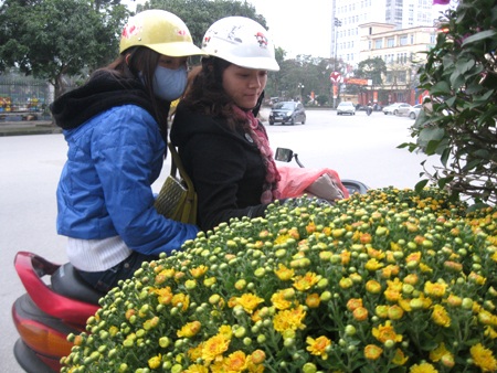 Tết theo hoa xuống phố - 6