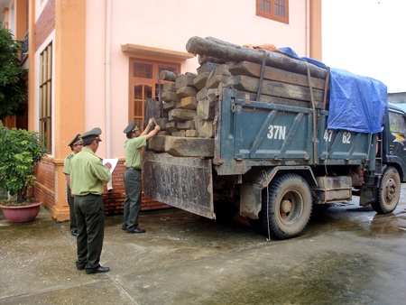 17 tháng tù cho nhóm lâm tặc chém kiểm lâm - 2 17 tháng tù cho nhóm lâm tặc chém kiểm lâm - 2