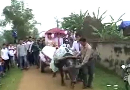 Gặp cô dâu, chú rể của đám cưới bằng... xe trâu - 4 Gặp cô dâu, chú rể của đám cưới bằng... xe trâu