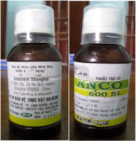 "Trắng đồng" vì thuốc bảo vệ thực vật - 4 Trắng đồng vì thuốc bảo vệ thực vật