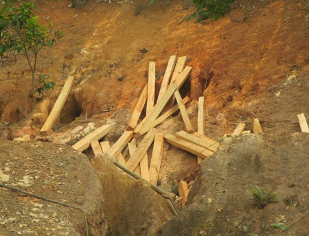 Hãi hùng một chuyến đột nhập “rừng gỗ lậu” - 3 Hãi hùng một chuyến đột nhập “rừng gỗ lậu”