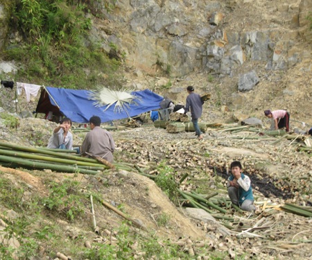 Ngược núi chặt luồng cứu đói
