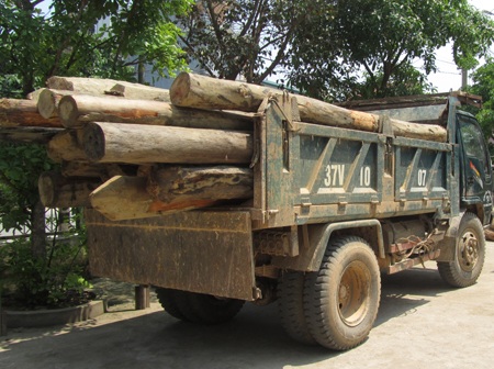 Cảnh sát giao thông bắt gỗ lậu - 1 Cảnh sát giao thông bắt gỗ lậu