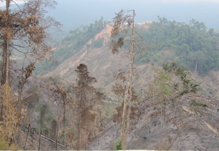 Xứ Nghệ quay quắt trong nắng nóng